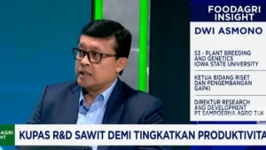 Fokus riset mencakup benih sawit unggul