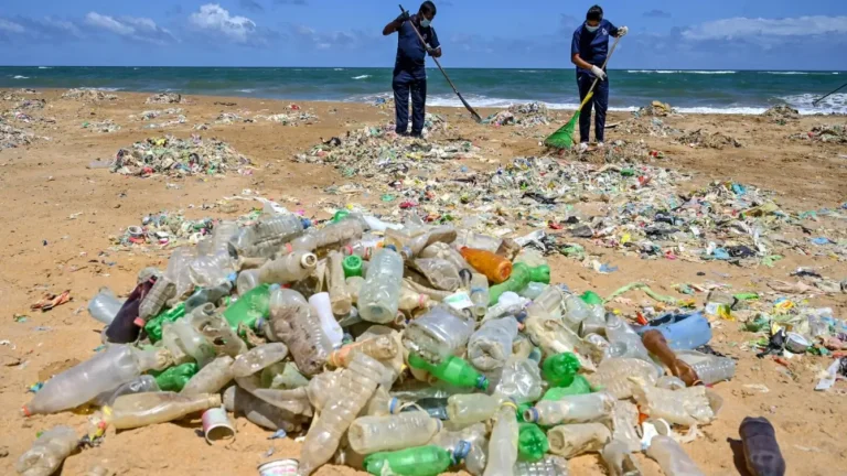 Jamur Pemakan Plastik