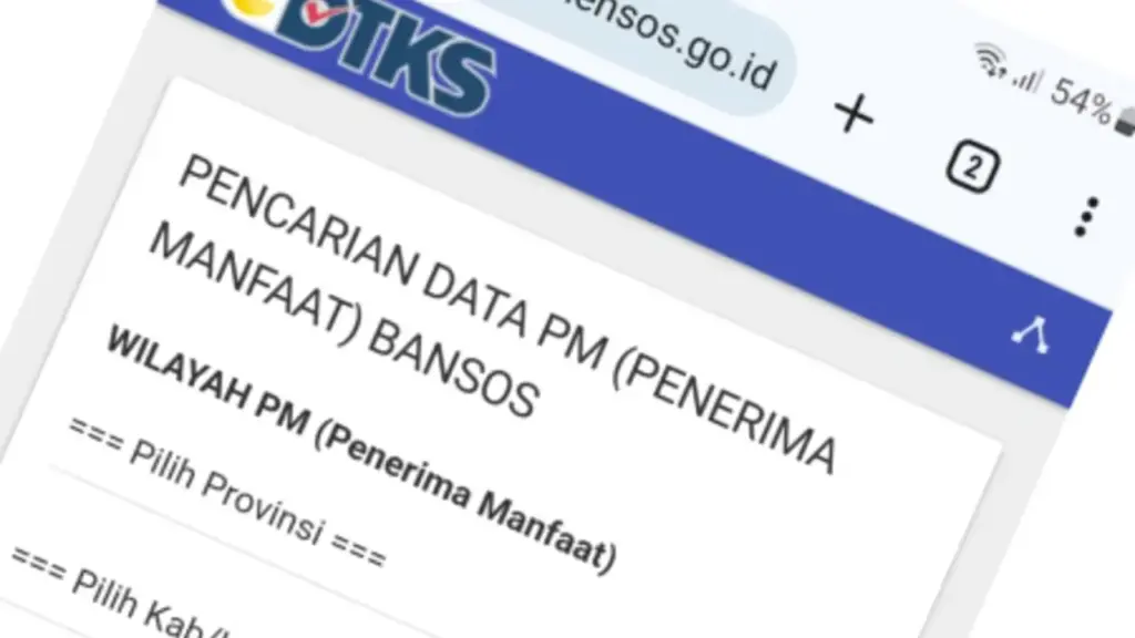 Cek Penerima Status Bansos di DTESN