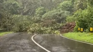Jalan Tembus Sarangan-Tawangmangu Terjadi Tanah Longsor