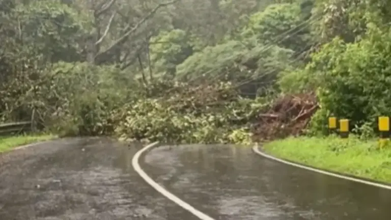 Jalan Tembus Sarangan-Tawangmangu Terjadi Tanah Longsor