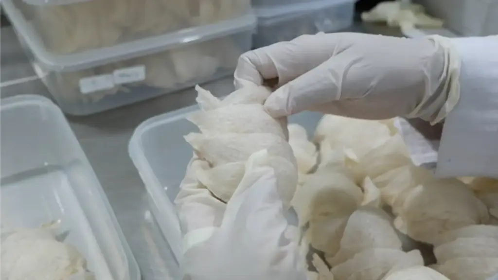 PT Abadi Lestari Indonesia Tbk