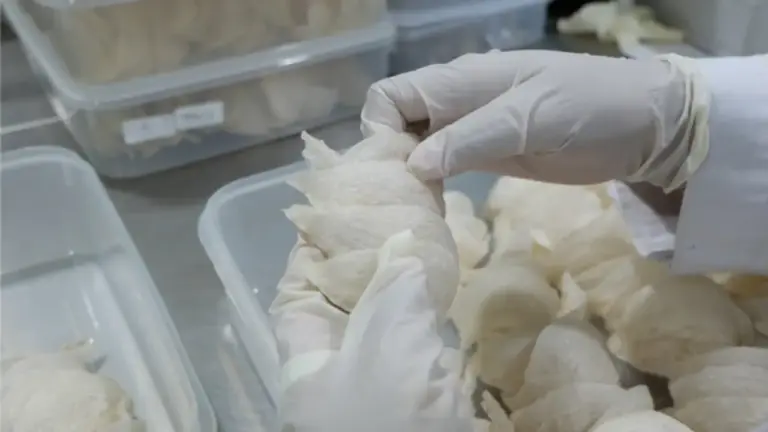 PT Abadi Lestari Indonesia Tbk