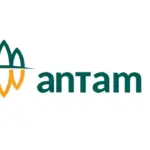Saham ANTM Longsor 12,83% di Sesi I Perdagangan Hari Ini