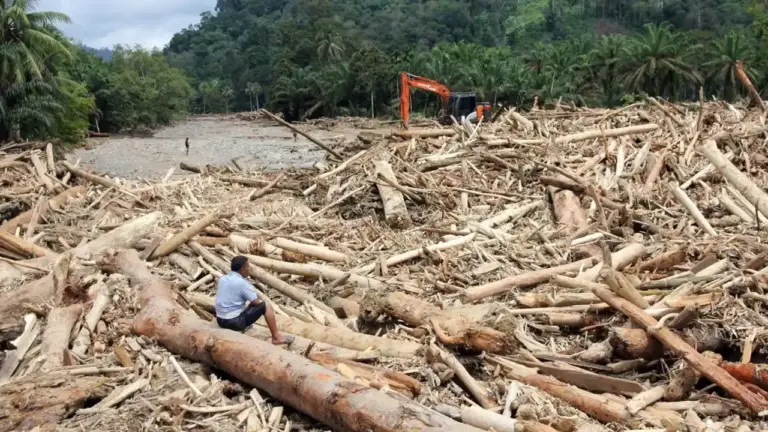 Banjir Bandang Sumatera