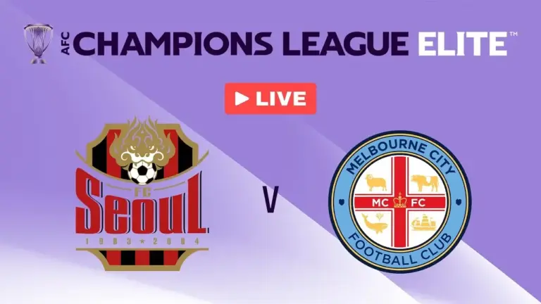 fc seoul vs melbourne city